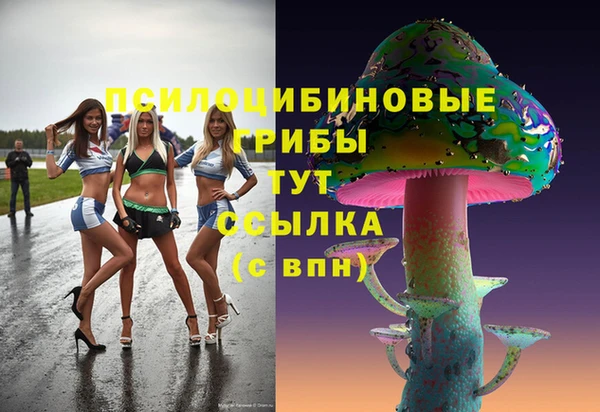 скорость Алексин