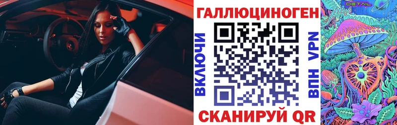 купить Аргун Галлюциногенные грибы Cubensis